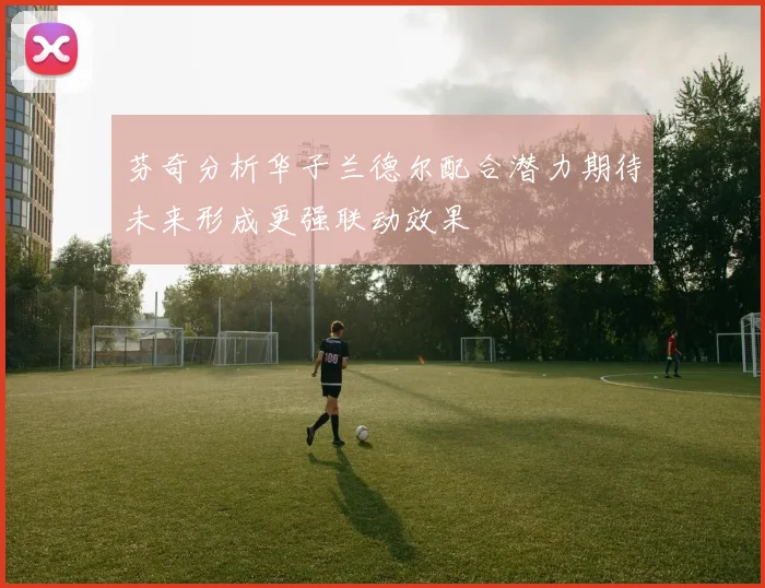 芬奇分析华子兰德尔配合潜力期待未来形成更强联动效果