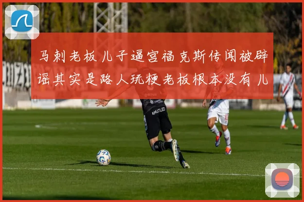 马刺老板儿子逼宫福克斯传闻被辟谣其实是路人玩梗老板根本没有儿子